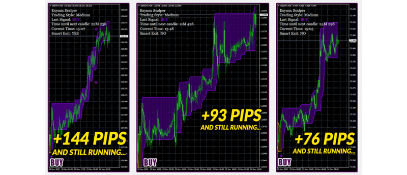 Exynox Scalper Trading Results