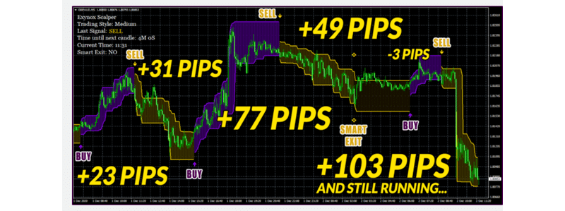 Exynox Scalper Trading Results