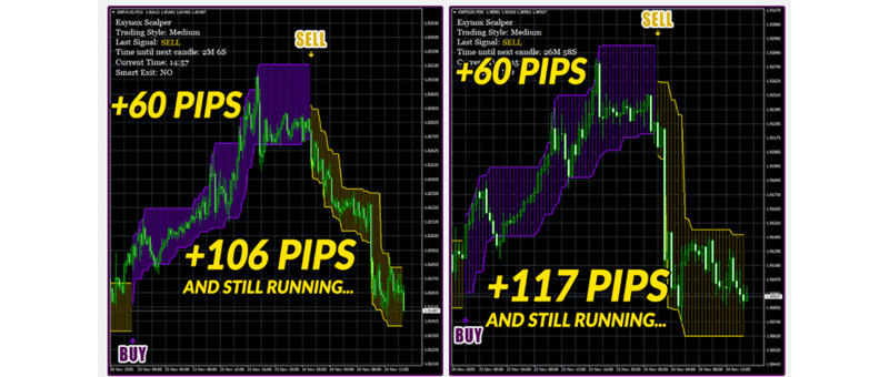 Exynox Scalper Trading Results