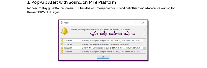 Exynox Scalper Pop-Up terminal notifications