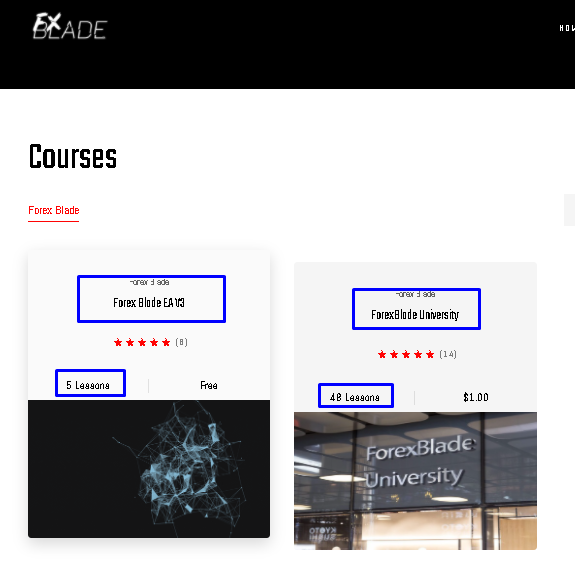 Forex Blade LLC courses