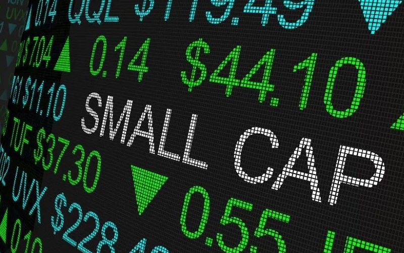 The Year of the Small Caps Market