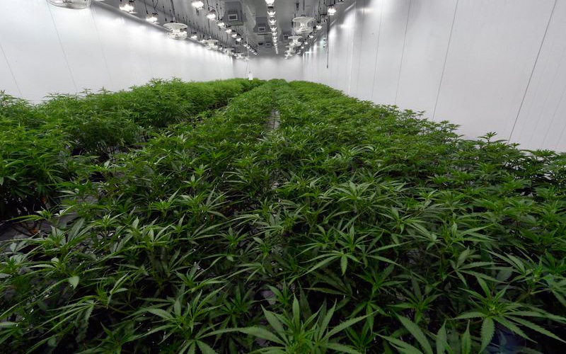 New York A Step Closer To Legalizing Recreational Marijuana