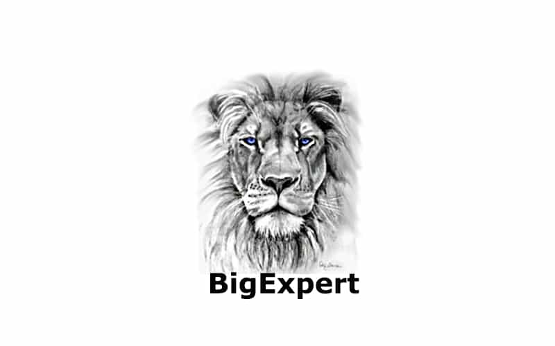 BigExpert Review