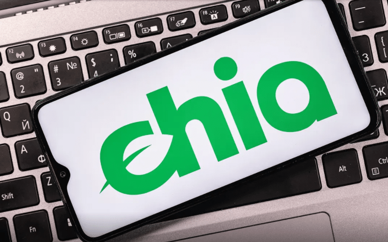 Chia Network Eyes 2021 IPO As Valuation Hits $500 Million