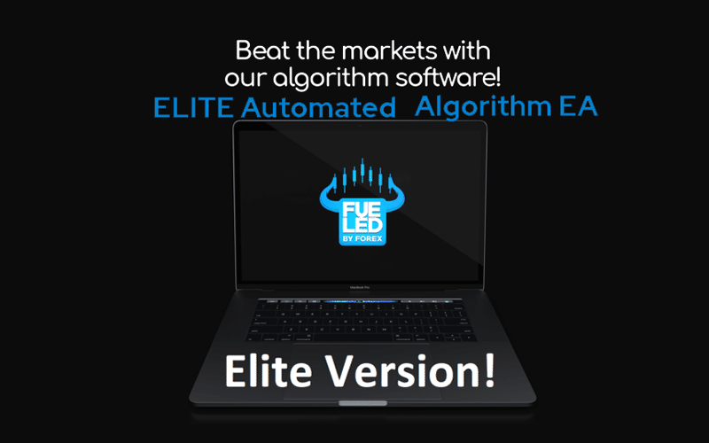 ELITE Automated Algorithm EA