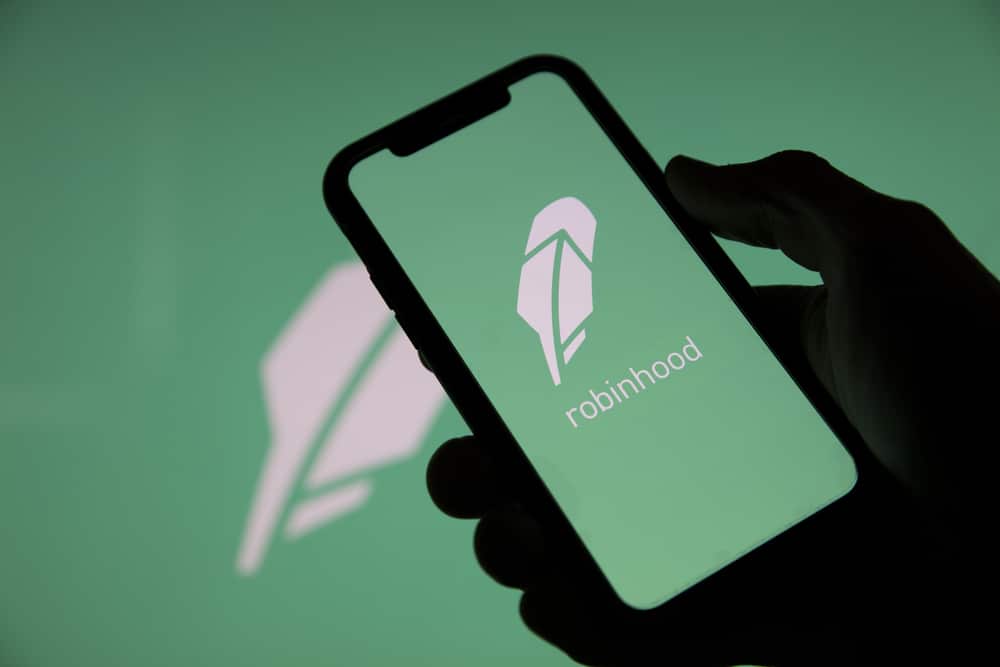 Robinhood Under the Microscope