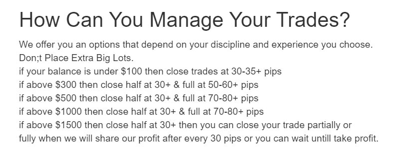 Gold VIP Signal. How can you manage your trades