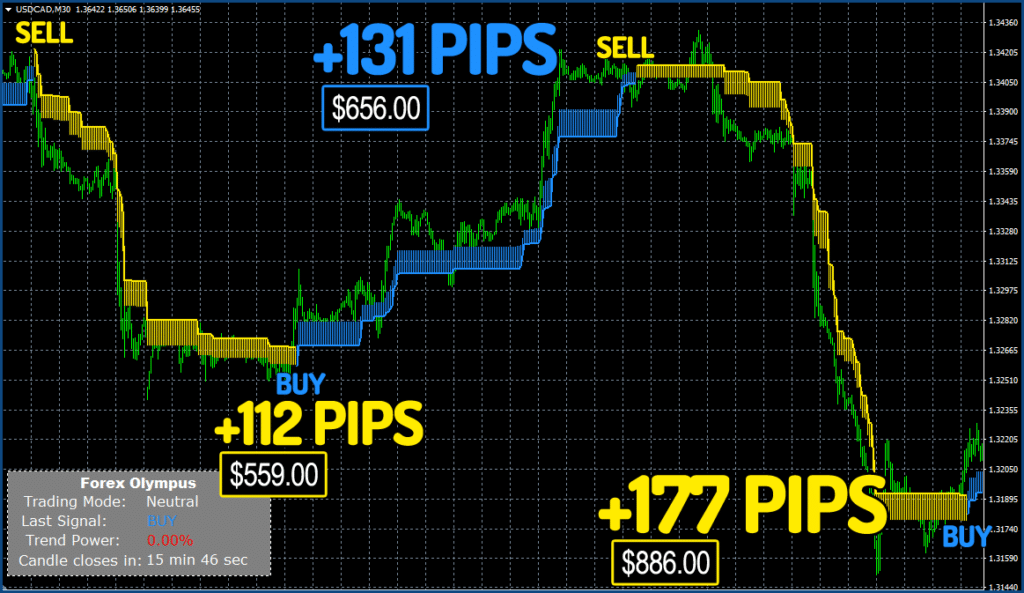 Forex Olympus Trading Results