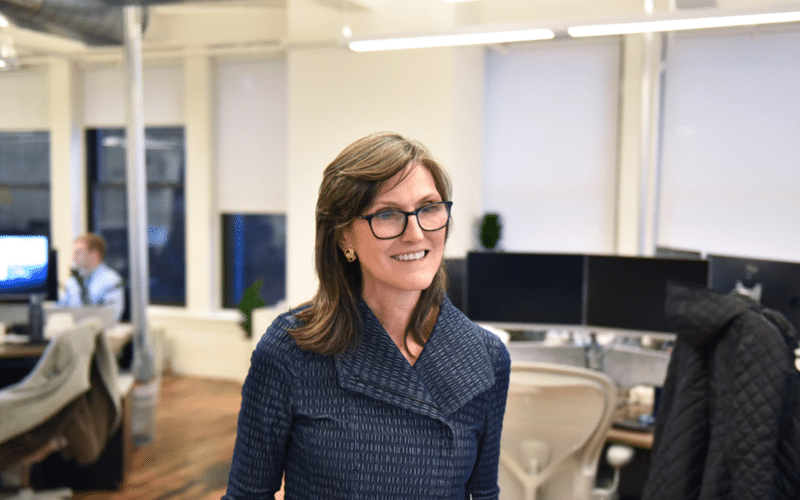 Cathie Wood’s ARK Invest Buys Over 5.6 million of Palantir Technologies Stocks