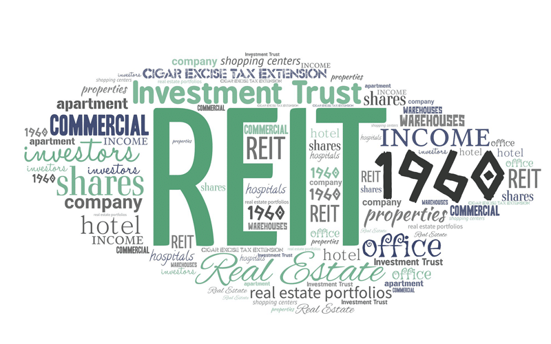 How to invest in REITs wisely