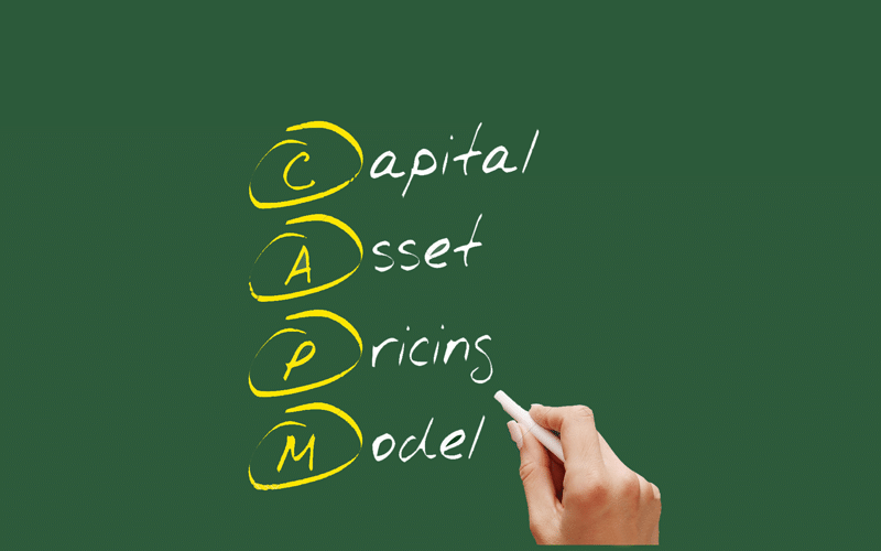 Decoding the Capital Asset Pricing Model (CAPM)