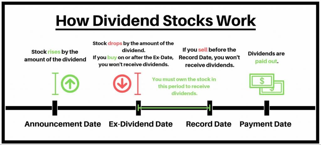 dividend stocks