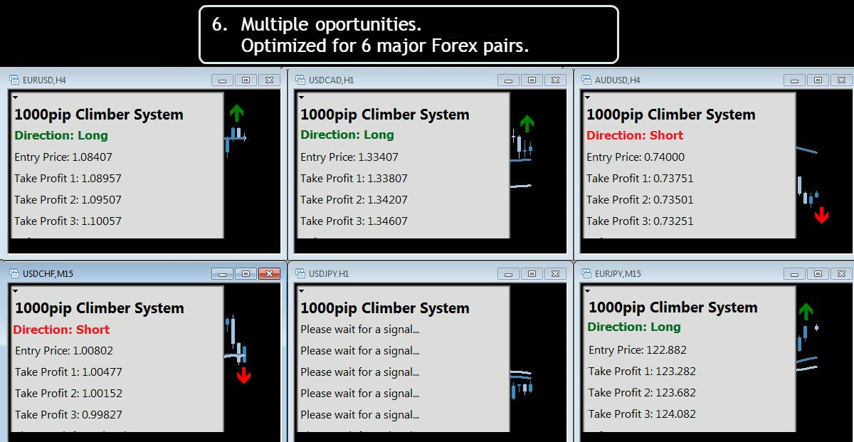 1000pipClimberSystem features