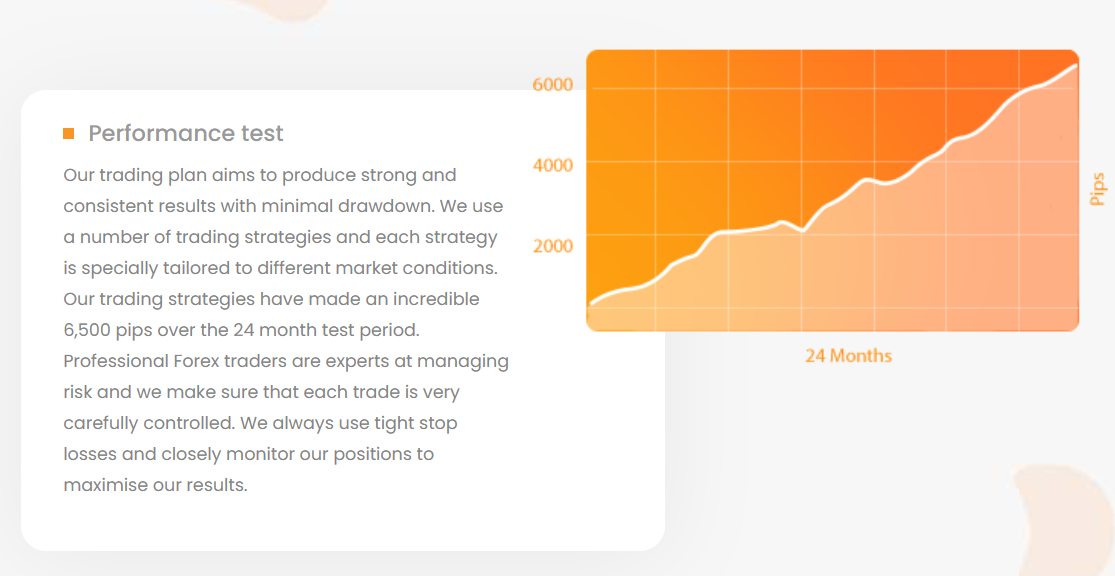 1000pipBuilder performance test