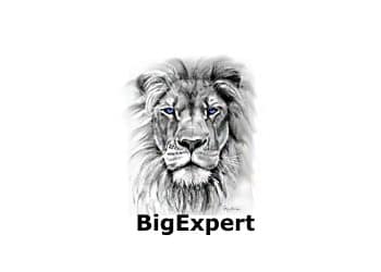 BigExpert Review