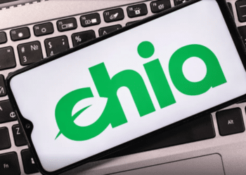 Chia Network Eyes 2021 IPO As Valuation Hits $500 Million