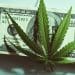 How to Invest in Marijuana