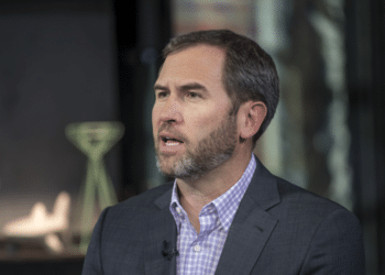 Ripple Chief Says IPO Will Have To Wait Until SEC Lawsuit Over