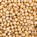 Soybean Has Set the Stage for Further Gains
