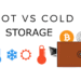 Where to Store Cryptocurrencies Hot vs. Cold Storage