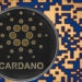 Cardano Starts NFT Minting Following Smart Contracts Functionality Activation