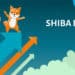 Shiba Inu Token: The ‘Dogecoin Killer’