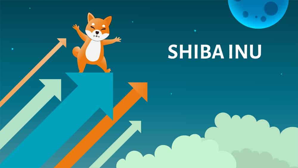 Shiba Inu Token: The ‘Dogecoin Killer’