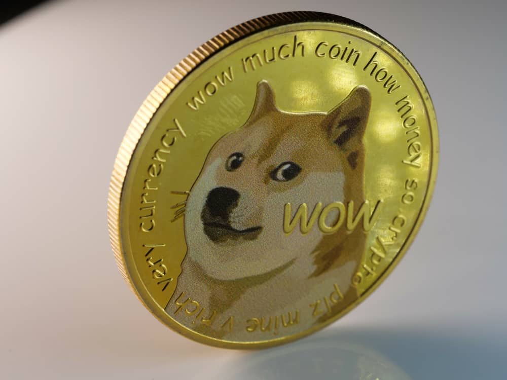 Dogecoin Jumps 8% After Musk Called on McDonald’s to Accept Token as Payment