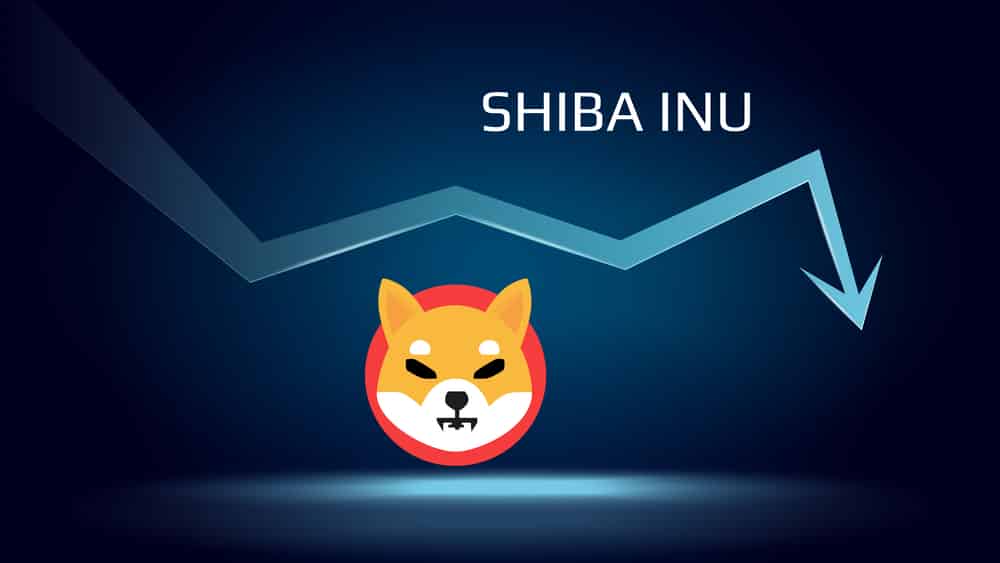 SHIB Price Prediction as Meme Coin Goes Below 0.00003
