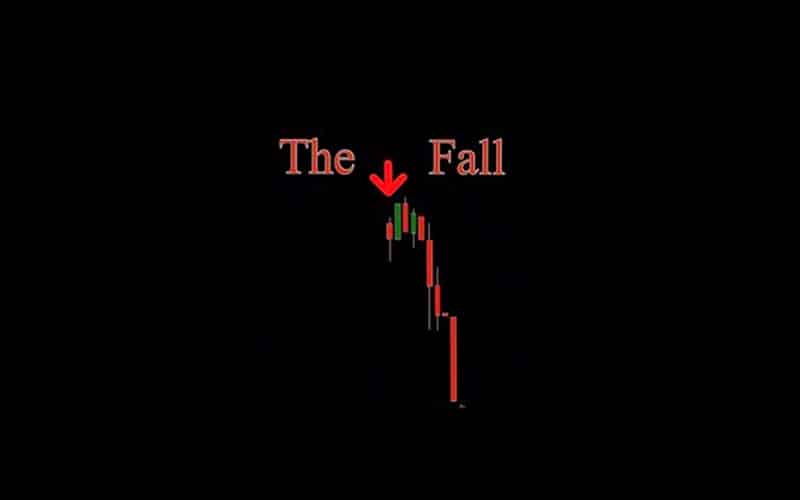 The Fall