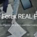 XXL Forex Real Profit