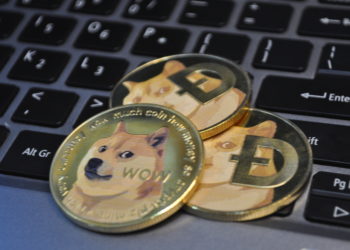 Top 5 DOGE Killers – Are They Taking Over?