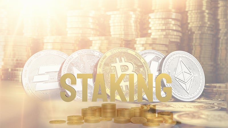 The Beginner’s Guide to Staking: What It Is, How It Works, Best Coins for Staking, and More