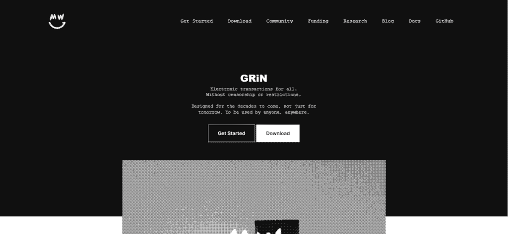 The Grin’s website welcome page. 
