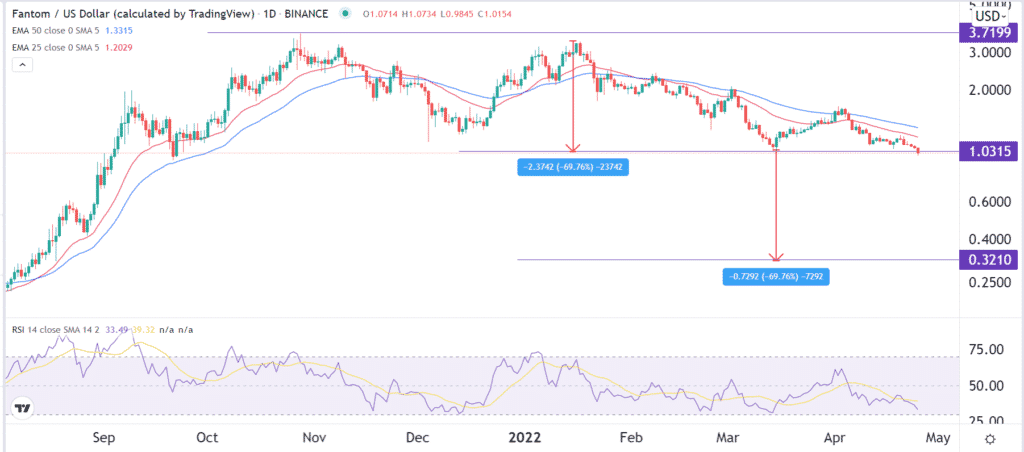 Fantom 1Y forecast